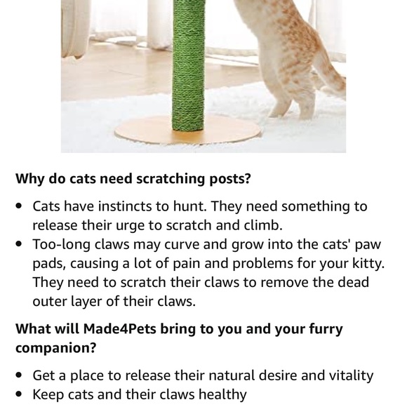 🌵 adorable bohemian desert cactus cat scratcher made of natural Sisal  rope🌵 - Picture 15 of 17